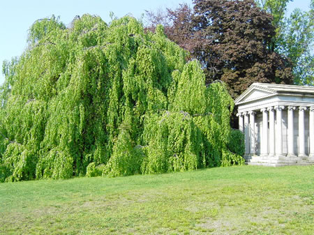 Woodlawn Cemetery